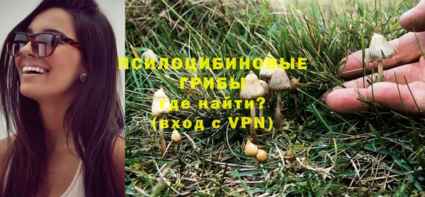 прущая мука Елизово